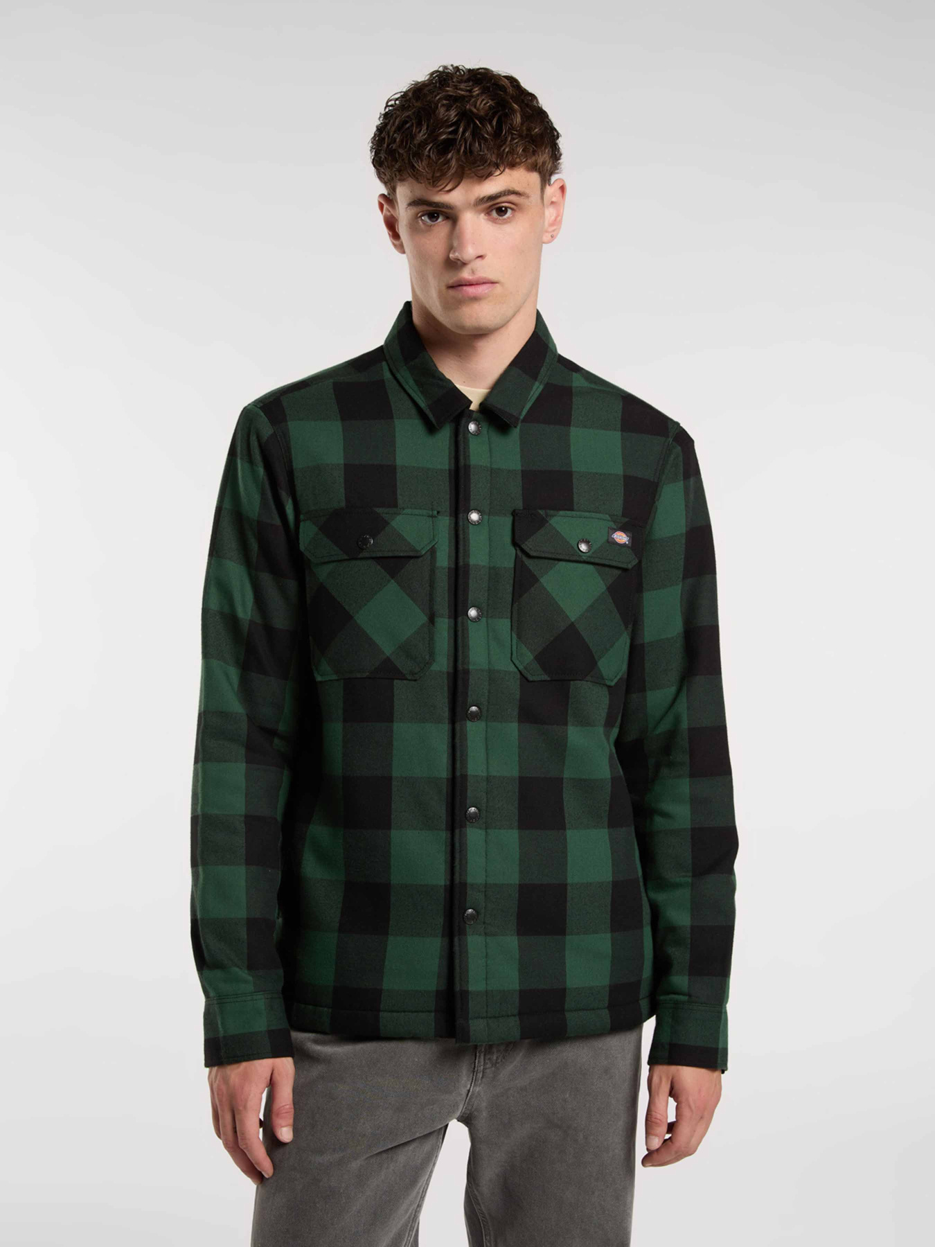 Куртки и дубленки Dickies SHERPA LINED SACRAMENTO модель DK0A4XGRPIN1 Куртки и дубленки Dickies SHERPA LINED SACRAMENTO модель DK0A4XGRPIN1 Фото
