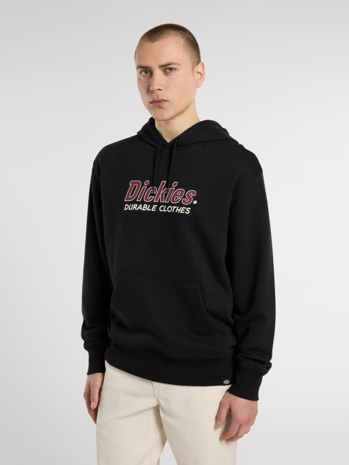 Худи и свитшоты Dickies Williston модель DK0A87NOBLK1 Фото