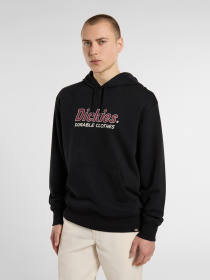 Худи и свитшоты Dickies Williston модель DK0A87NOBLK1 Фото