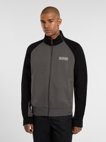 Худи и свитшоты Dickies Bolivar модель DK0A87NTBLK1 Фото