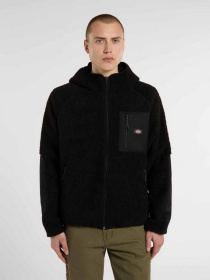 Худі та світшоти Dickies CENTRAL HIGH PILE HOODED модель DK0A87NVBLK1 Фото