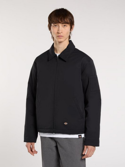 Куртки и дубленки Dickies EISENHOWER PUFFER модель DK0A87O6BLK1 Фото