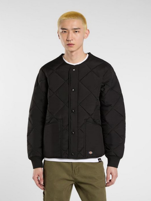 Куртки та дублянки Dickies SAMBURG LINER JACKET модель DK0A87O7BLK1 Фото