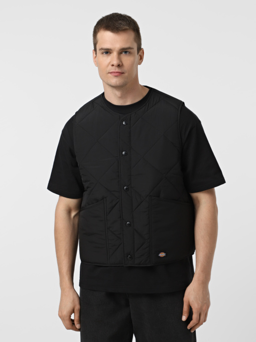 Куртки та дублянки Dickies SAMBURG LINER VEST модель DK0A87O8BLK1 Фото