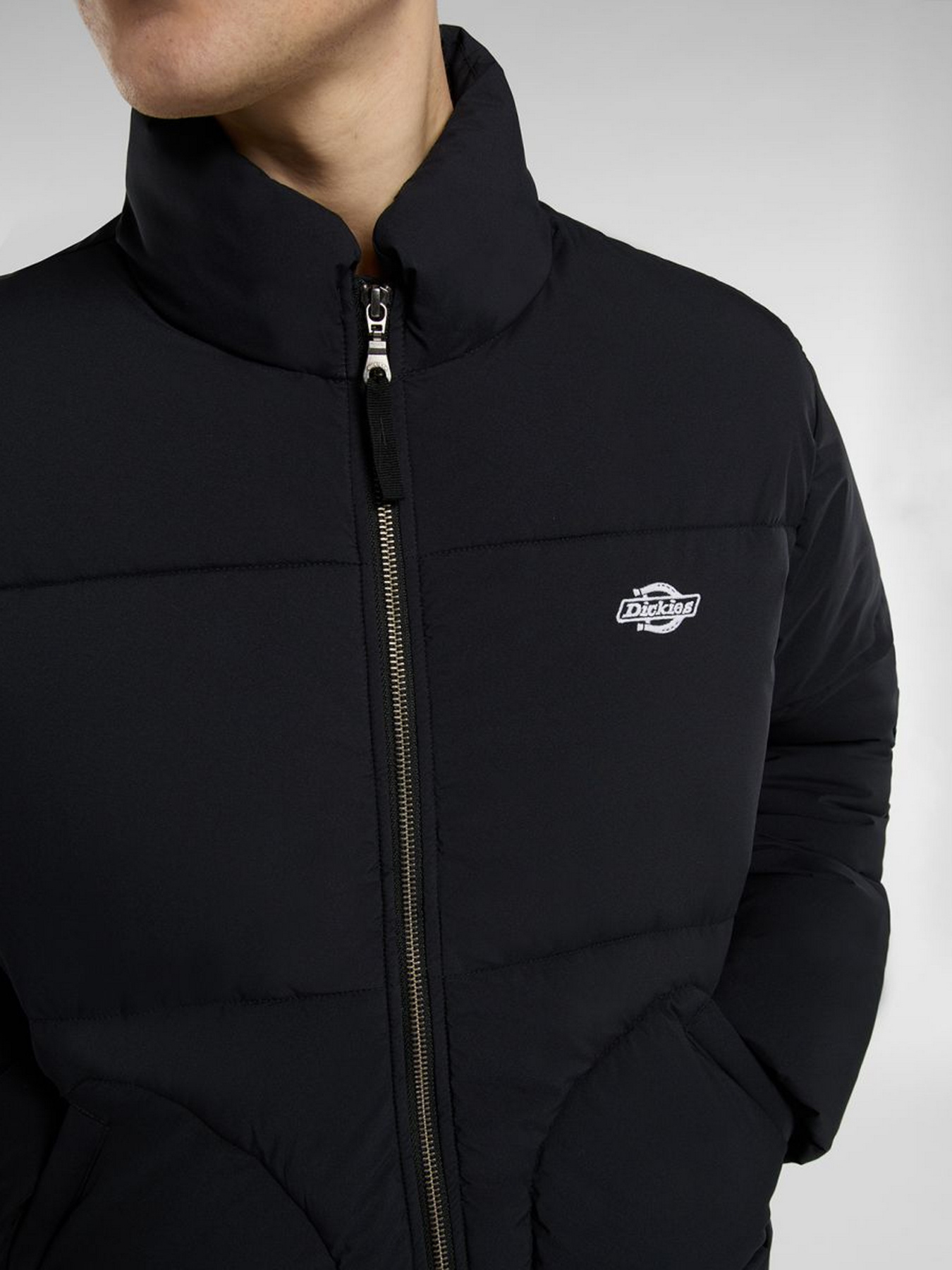 Куртки и дубленки Dickies модель DK0A87OGBLK1 Фото