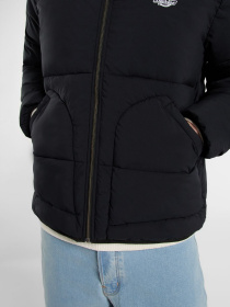 Куртки и дубленки Dickies модель DK0A87OGBLK1 Фото