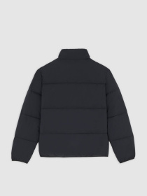Куртки и дубленки Dickies модель DK0A87OGBLK1 Фото