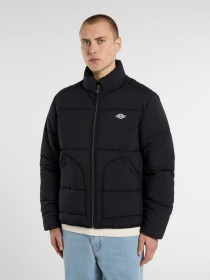 Куртки и дубленки Dickies модель DK0A87OGBLK1 Фото