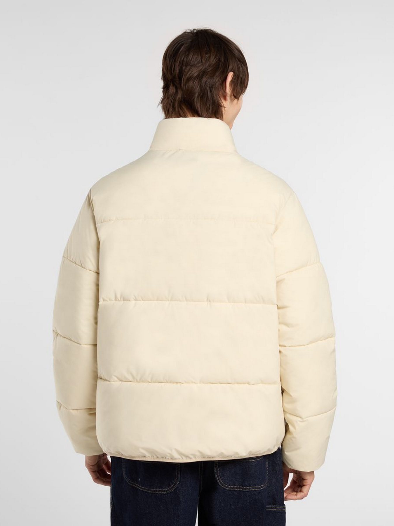 Куртки и дубленки Dickies SUMMERDALE PUFFER модель DK0A87OGL171 Фото