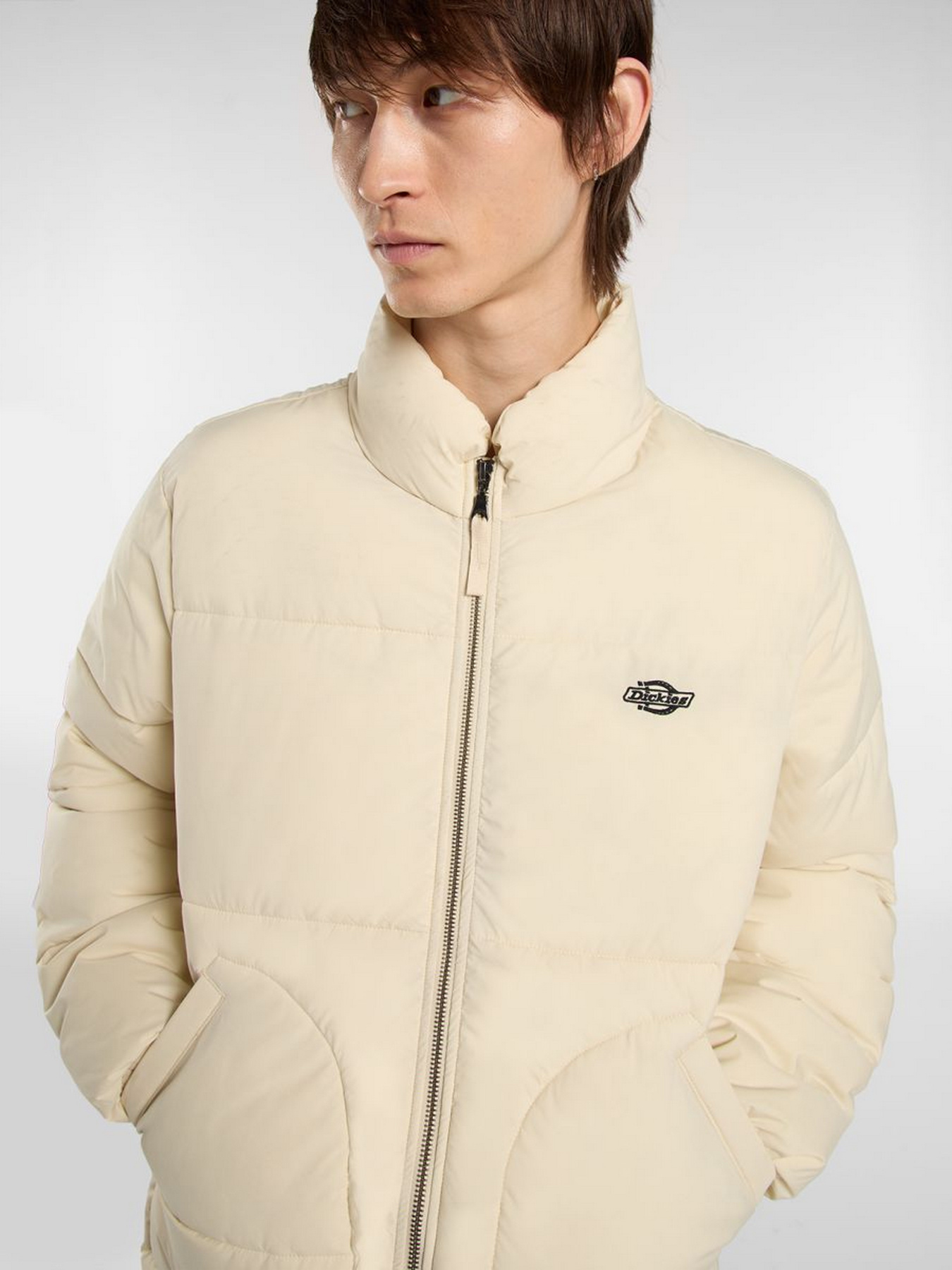 Куртки и дубленки Dickies SUMMERDALE PUFFER модель DK0A87OGL171 Фото