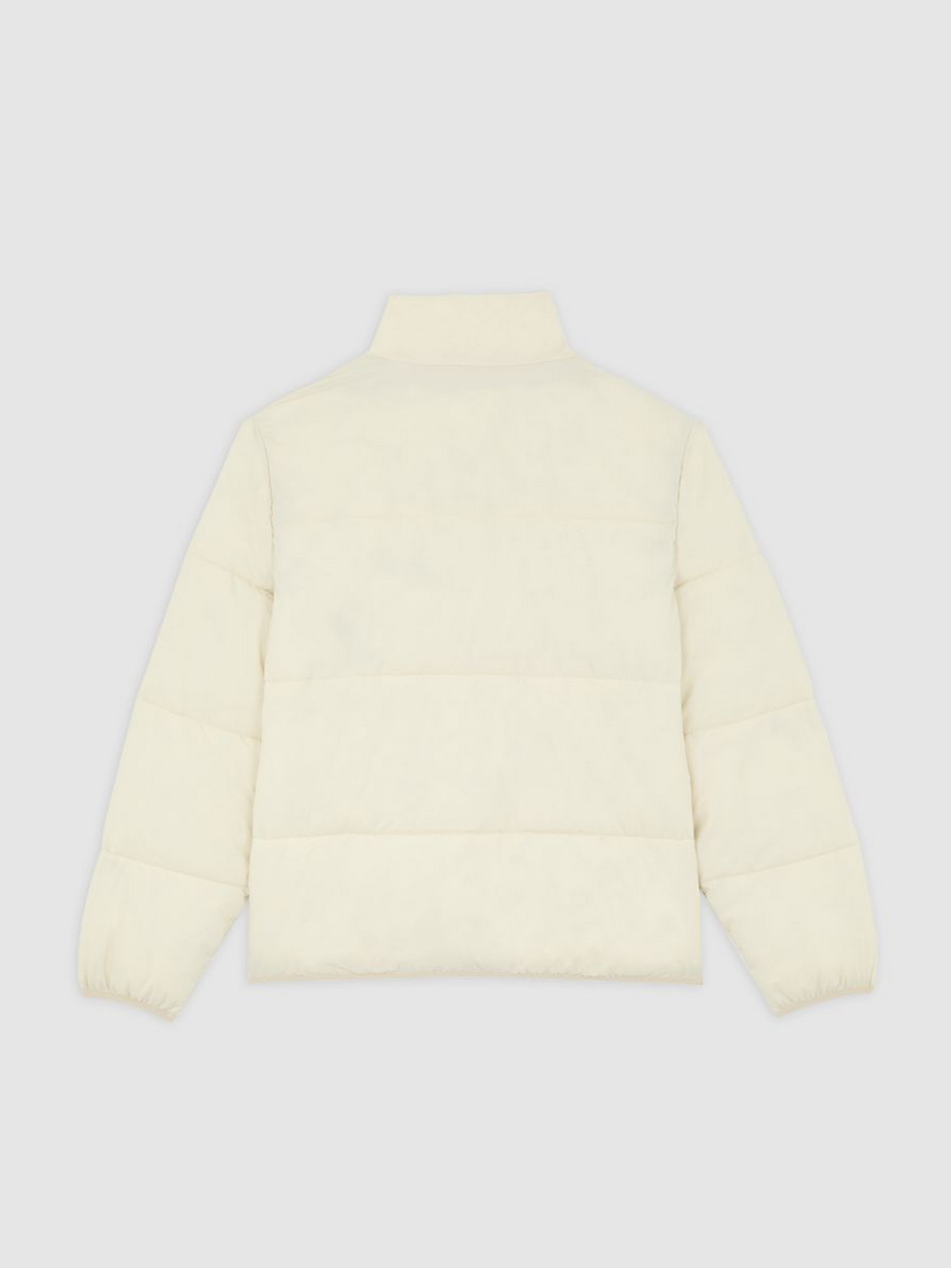 Куртки и дубленки Dickies SUMMERDALE PUFFER модель DK0A87OGL171 Фото