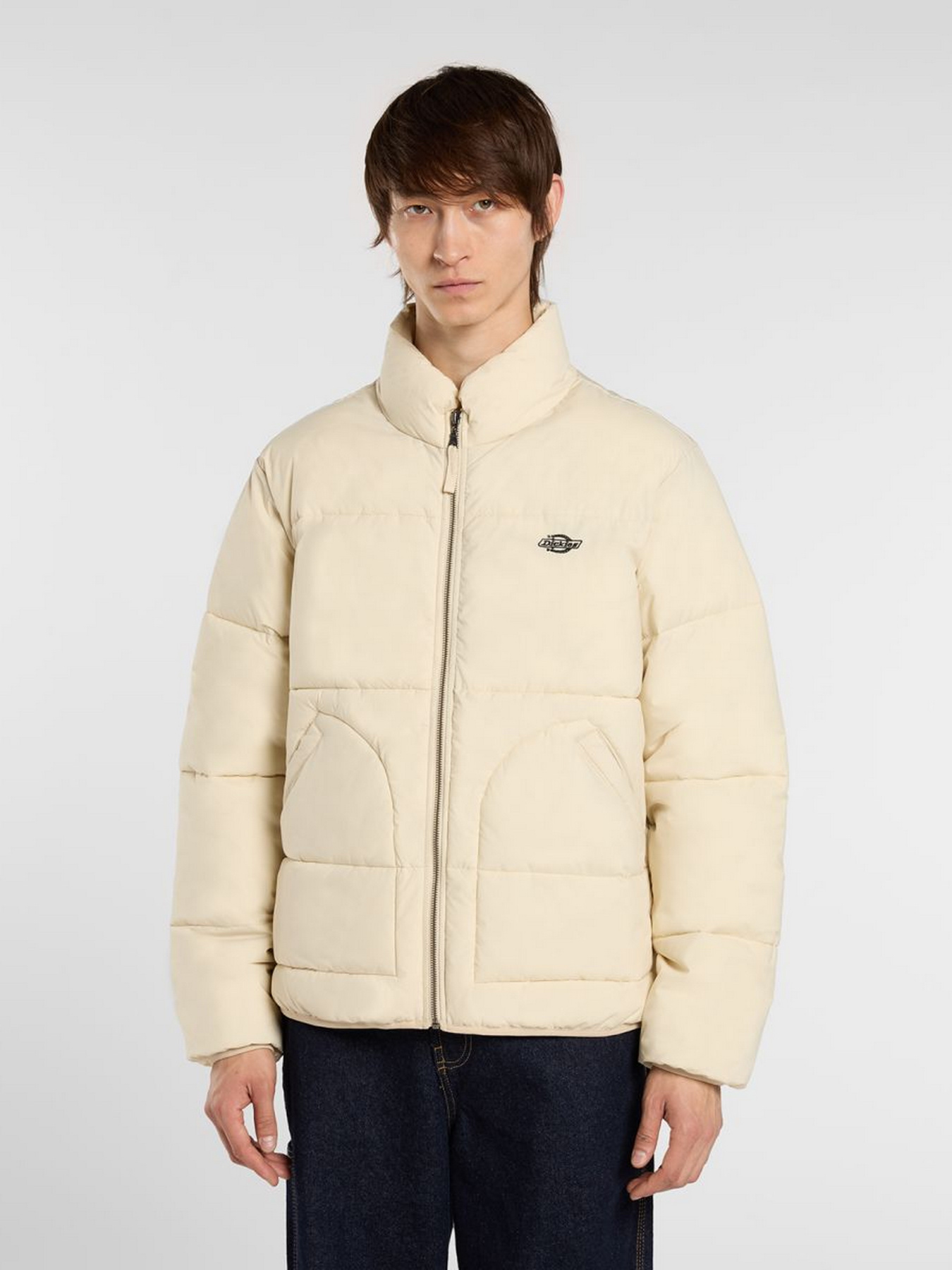 Куртки и дубленки Dickies SUMMERDALE PUFFER модель DK0A87OGL171 Фото