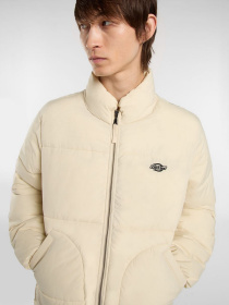 Куртки и дубленки Dickies SUMMERDALE PUFFER модель DK0A87OGL171 Фото