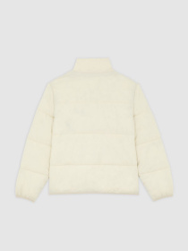 Куртки и дубленки Dickies SUMMERDALE PUFFER модель DK0A87OGL171 Фото