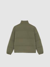Куртки и дубленки Dickies Summerdale Puffer модель DK0A87OGMGR1 Фото