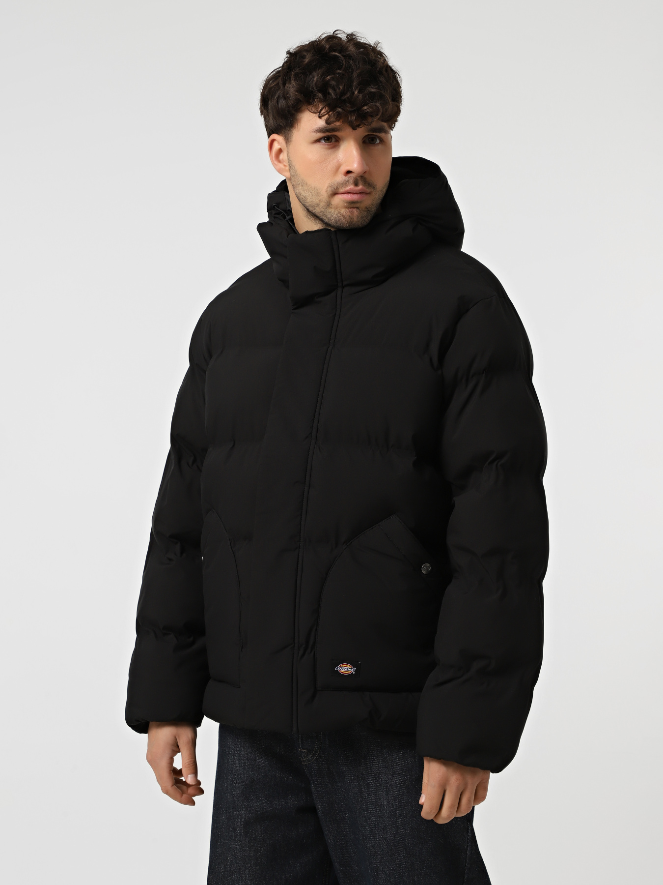 Куртки и дубленки Dickies EAGLEVILLE HOODED PUFFER модель DK0A87OHBLK1 Фото