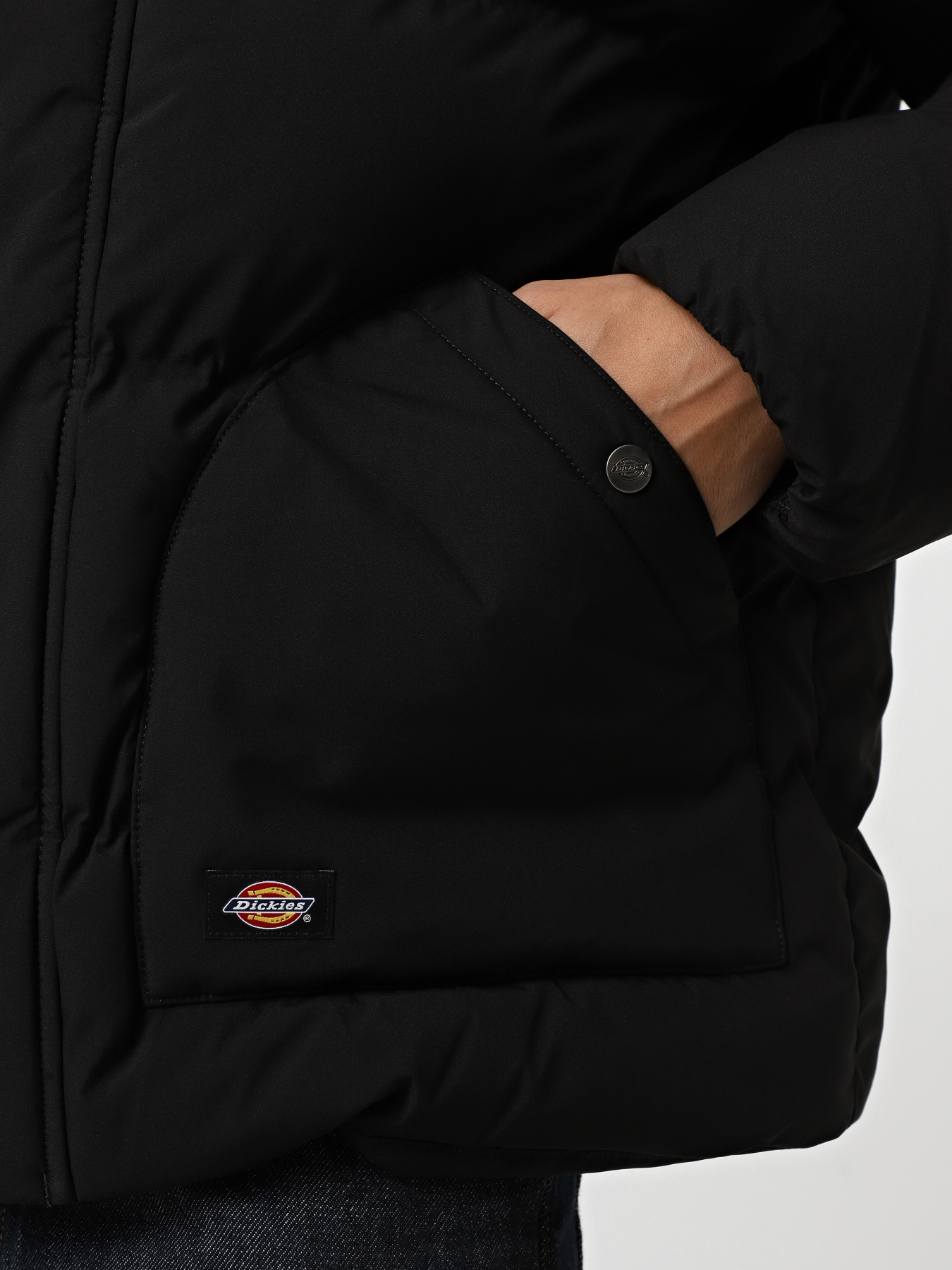 Куртки и дубленки Dickies EAGLEVILLE HOODED PUFFER модель DK0A87OHBLK1 Фото