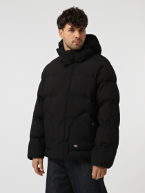 Куртки и дубленки Dickies EAGLEVILLE HOODED PUFFER модель DK0A87OHBLK1 Фото