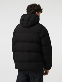 Куртки и дубленки Dickies EAGLEVILLE HOODED PUFFER модель DK0A87OHBLK1 Фото
