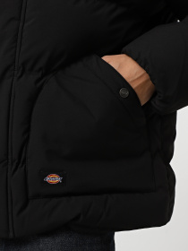 Куртки и дубленки Dickies EAGLEVILLE HOODED PUFFER модель DK0A87OHBLK1 Фото