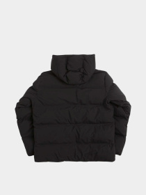 Куртки и дубленки Dickies EAGLEVILLE HOODED PUFFER модель DK0A87OHBLK1 Фото