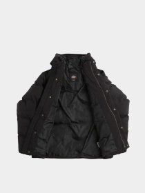 Куртки и дубленки Dickies EAGLEVILLE HOODED PUFFER модель DK0A87OHBLK1 Фото
