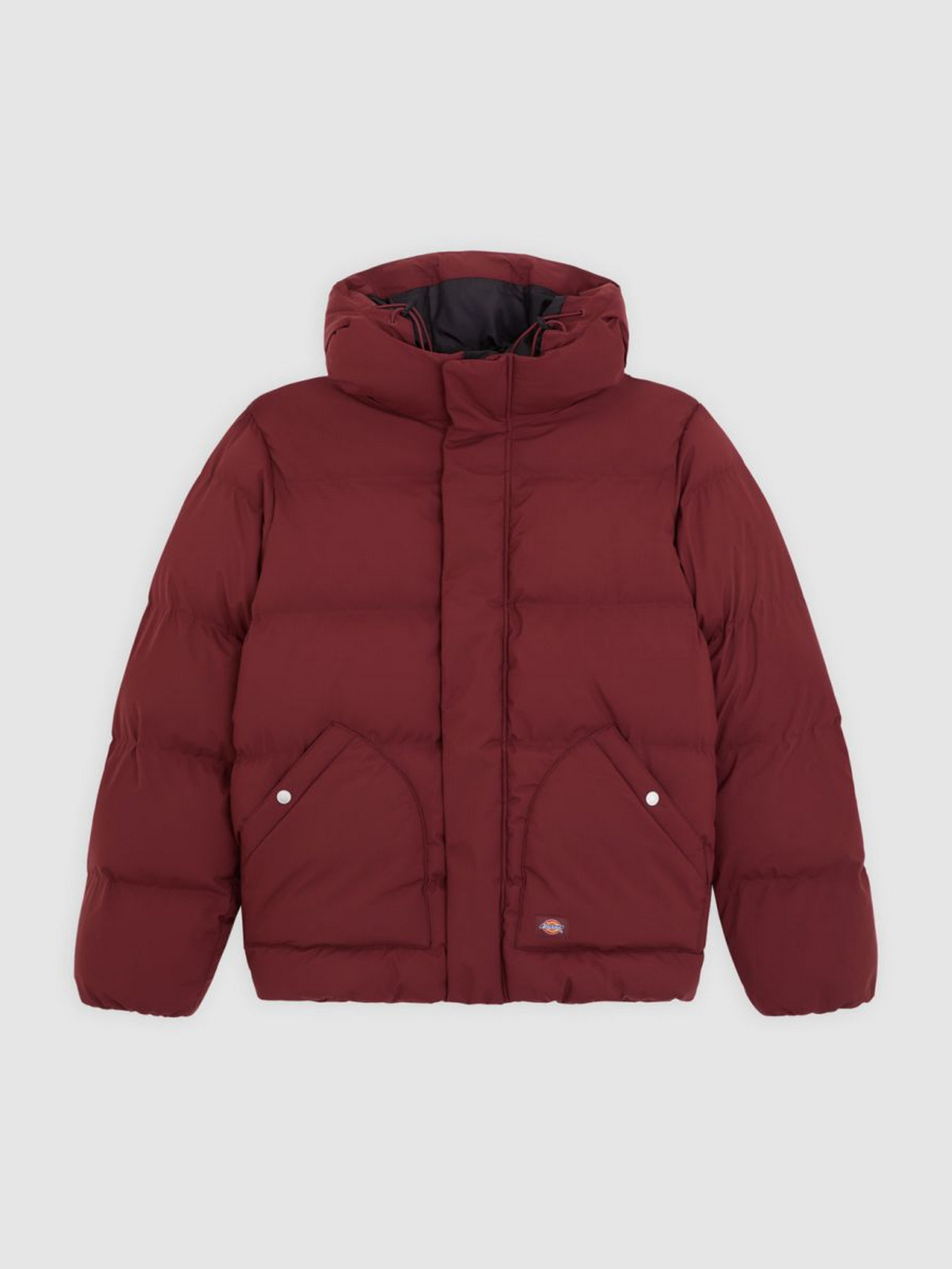 Куртки и дубленки Dickies модель DK0A87OHL161 Фото