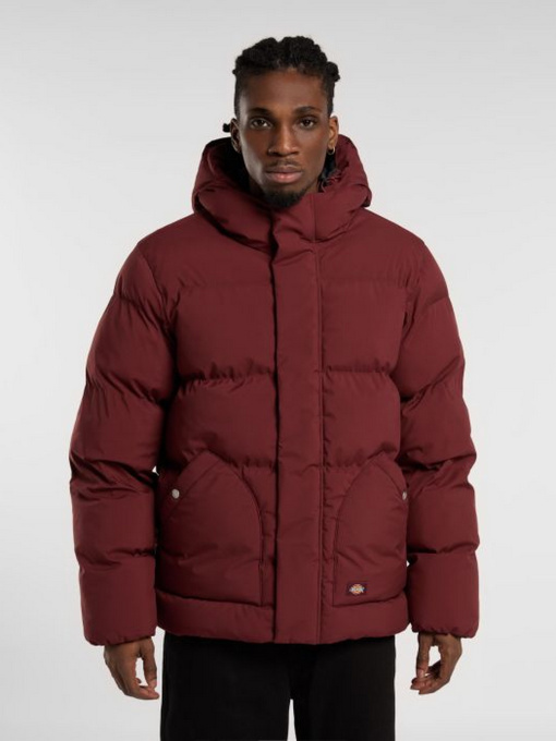 Куртки и дубленки Dickies модель DK0A87OHL161 Фото