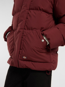 Куртки и дубленки Dickies модель DK0A87OHL161 Фото