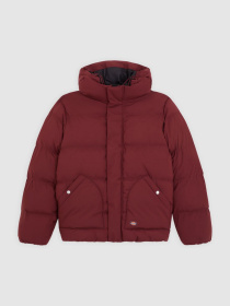 Куртки и дубленки Dickies модель DK0A87OHL161 Фото