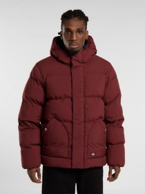 Куртки и дубленки Dickies модель DK0A87OHL161 Фото