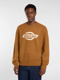 Светри та кардигани Dickies RUSTON SWEATER модель DK0A87OQ0BD1 Фото