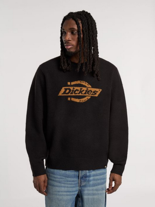 Светри та кардигани Dickies RUSTON SWEATER модель DK0A87OQBLK1 Фото