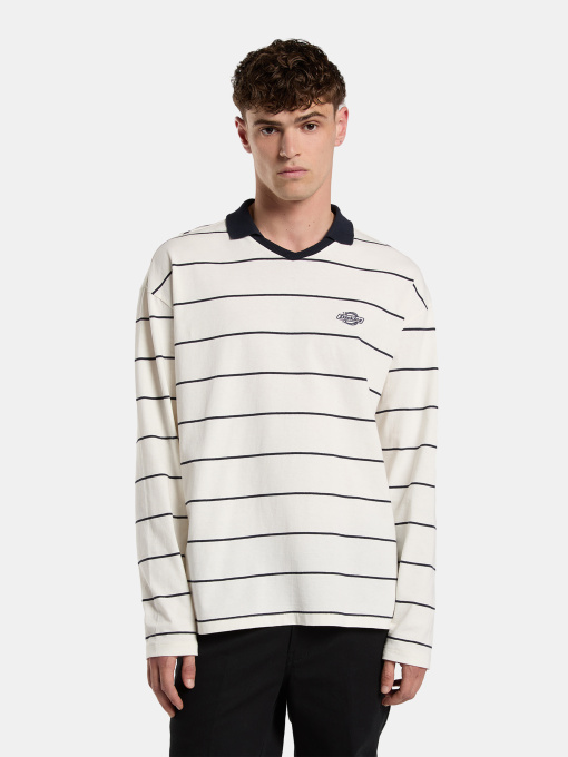 Худи и свитшоты Dickies Summerdale Rugby модель DK0A87Q8C481 Фото