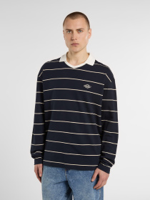 Худи и свитшоты Dickies Summerdale Rugby модель DK0A87Q8L181 Фото