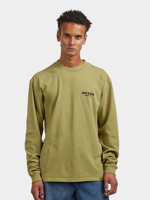 Худі та світшоти Dickies HARBOUR модель DK0A87QFL201 Фото