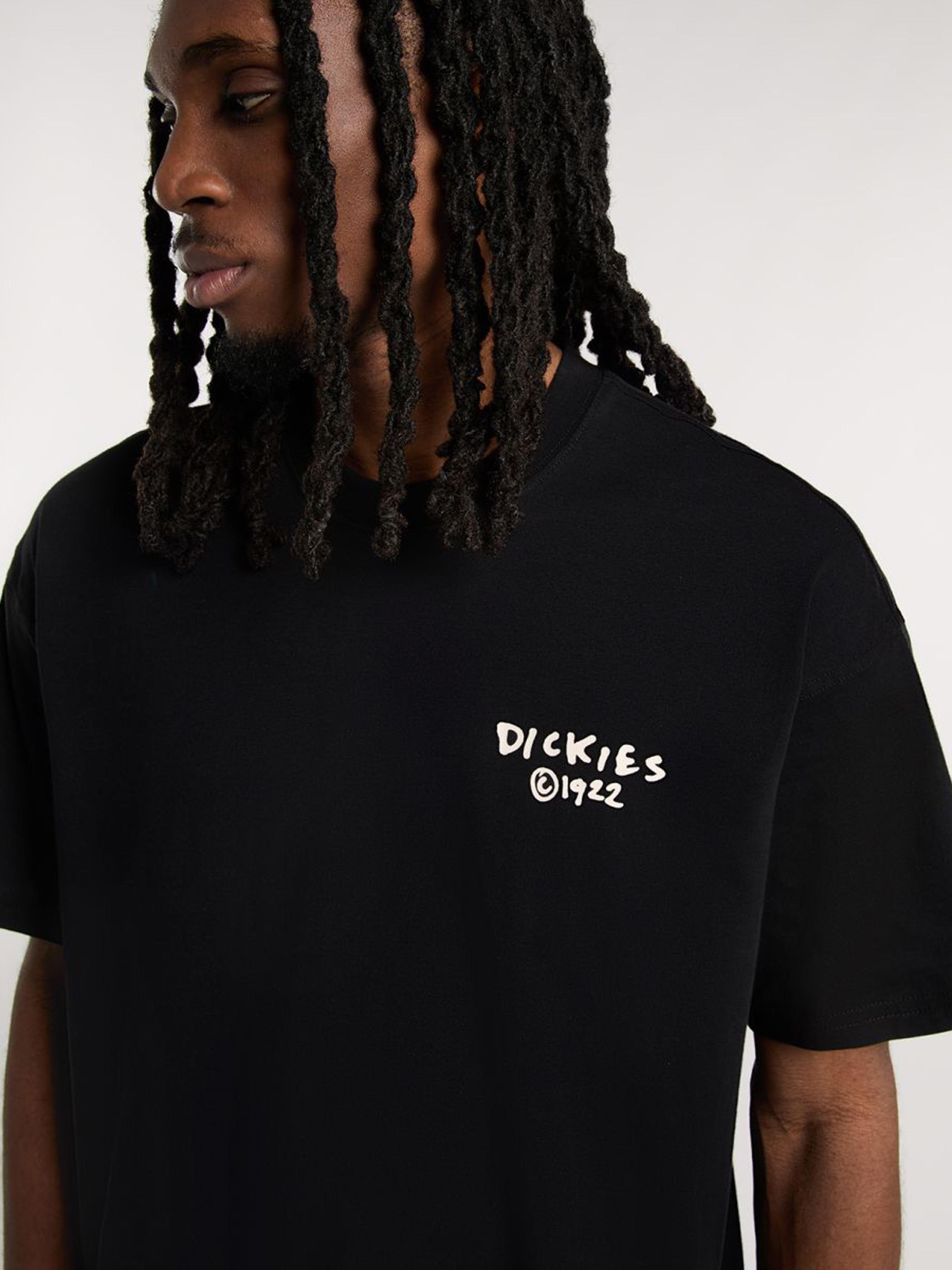 Футболки и поло Dickies Sneedville модель DK0A87QOBLK1 Фото