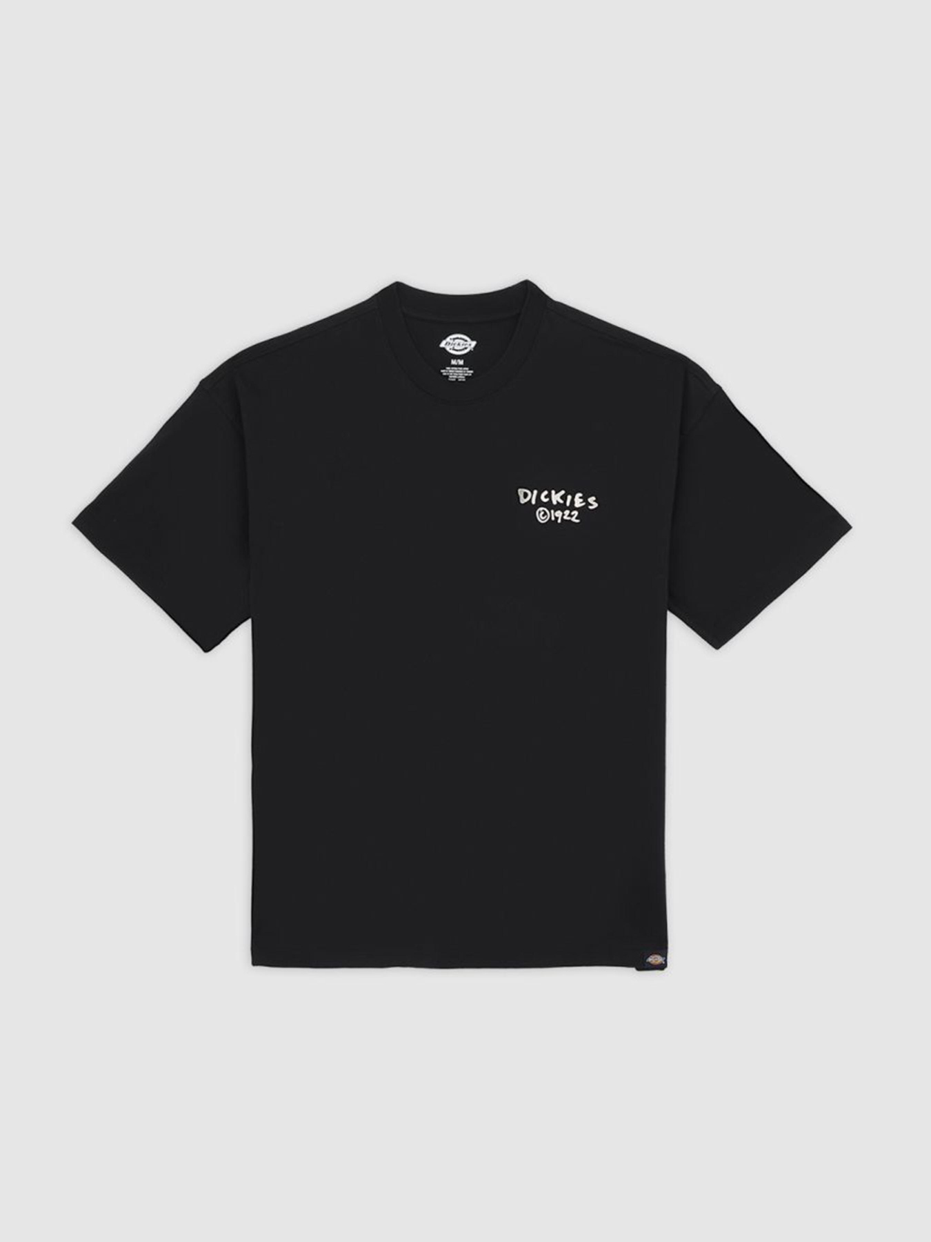 Футболки и поло Dickies Sneedville модель DK0A87QOBLK1 Фото