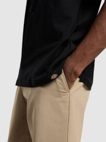 Футболки и поло Dickies Sneedville модель DK0A87QOBLK1 Фото