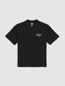 Футболки и поло Dickies Sneedville модель DK0A87QOBLK1 Фото