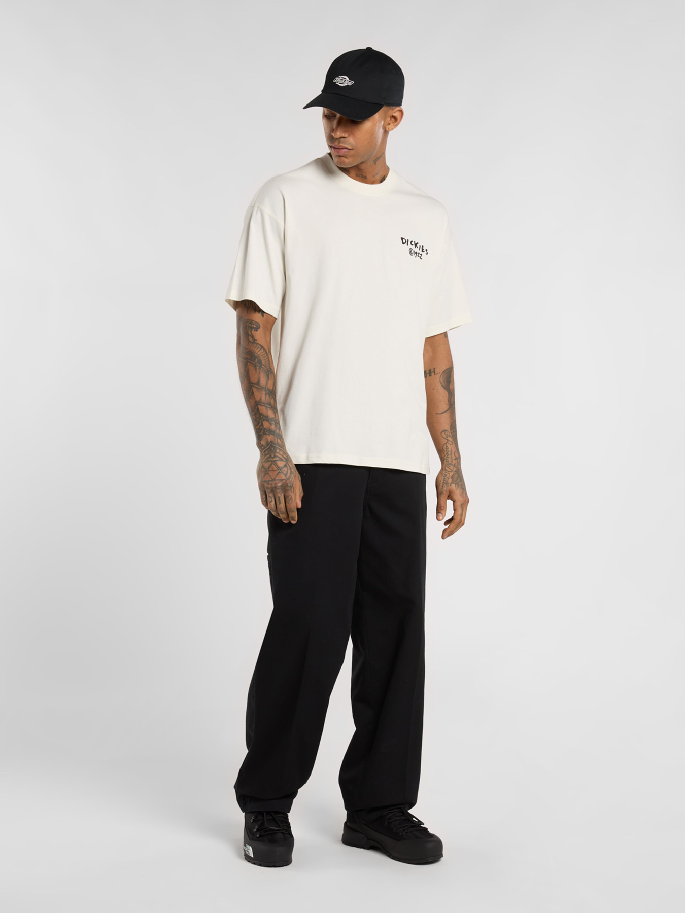 Футболки и поло Dickies Sneedville модель DK0A87QOC481 Фото