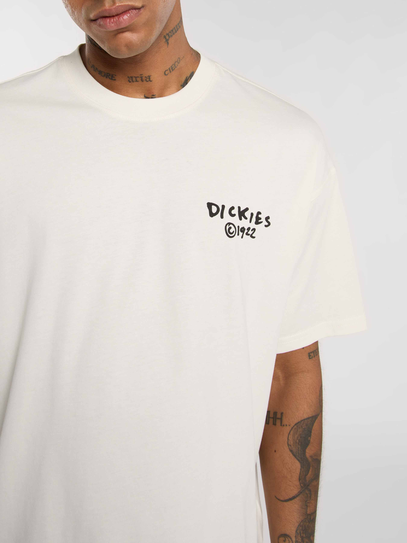 Футболки и поло Dickies Sneedville модель DK0A87QOC481 Фото