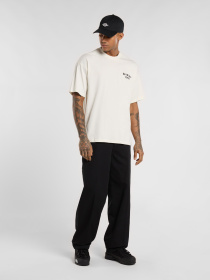 Футболки и поло Dickies Sneedville модель DK0A87QOC481 Фото