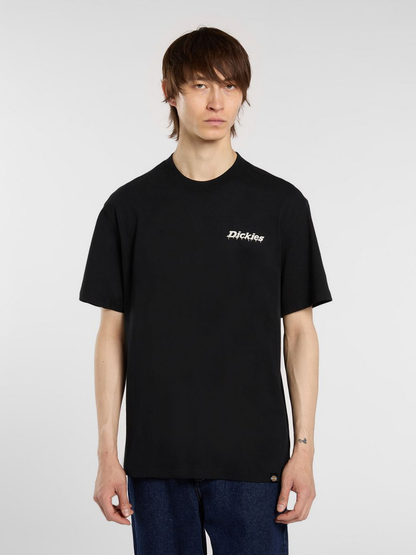 Футболки и поло Dickies модель DK0A87QPBLK1 Фото