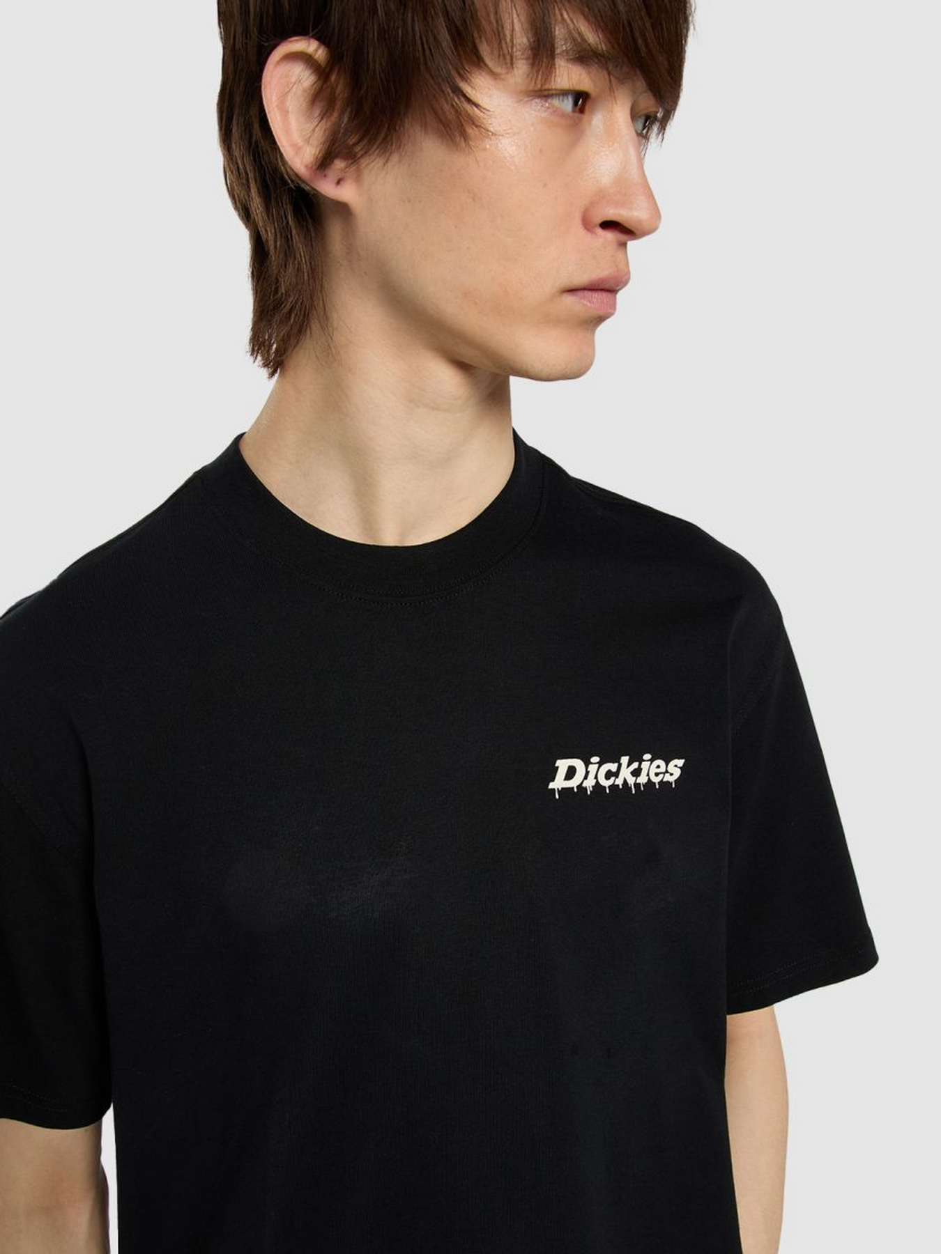 Футболки и поло Dickies модель DK0A87QPBLK1 Фото