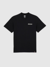 Футболки и поло Dickies модель DK0A87QPBLK1 Фото