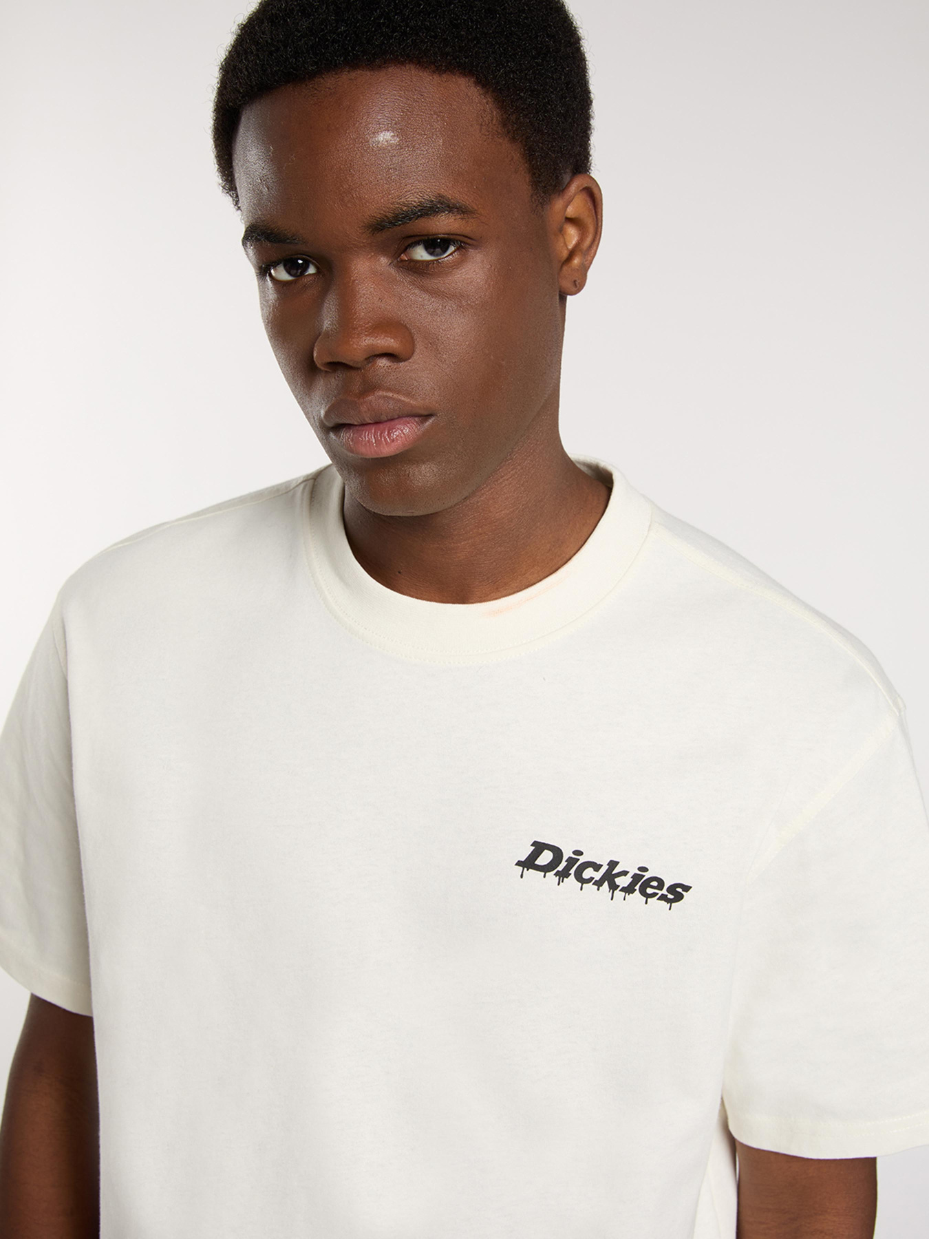 Футболки и поло Dickies модель DK0A87QPC481 Фото