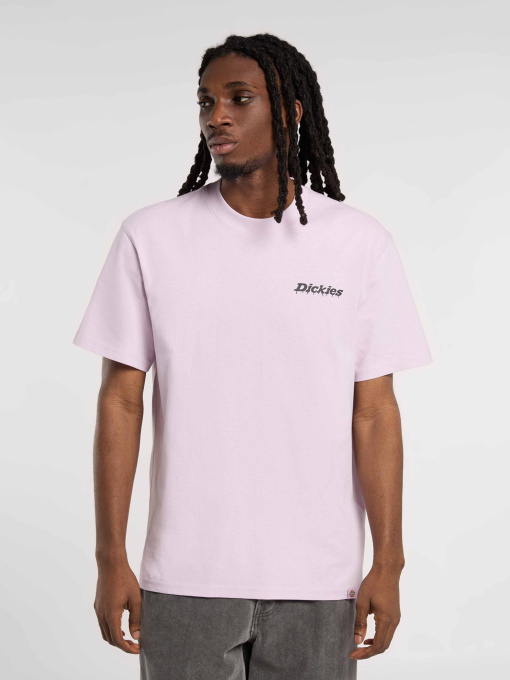Футболки и поло Dickies STATESVILLE модель DK0A87QPK731 Фото