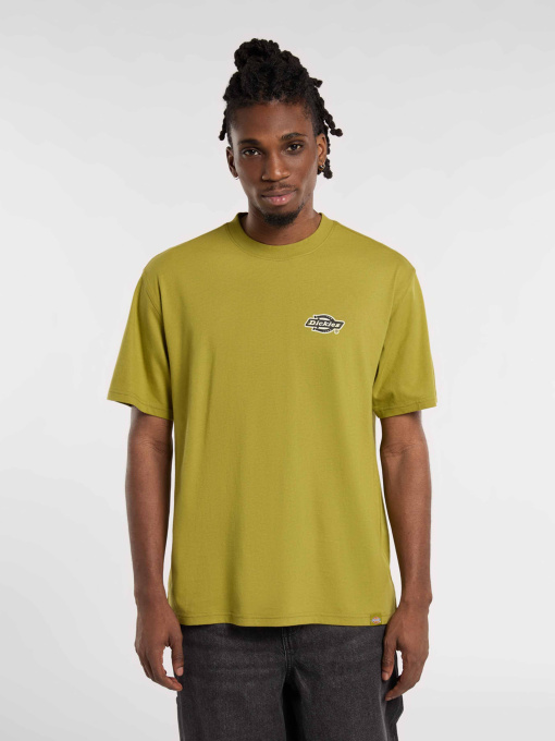 Футболки и поло Dickies GRAYSVILLE модель DK0A87QQL201 Фото