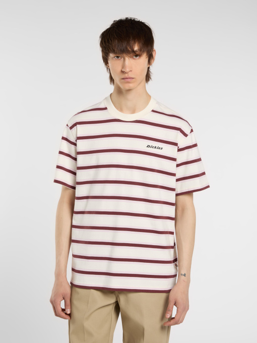 Футболки и поло Dickies York Stripe модель DK0A87QVC481 Фото
